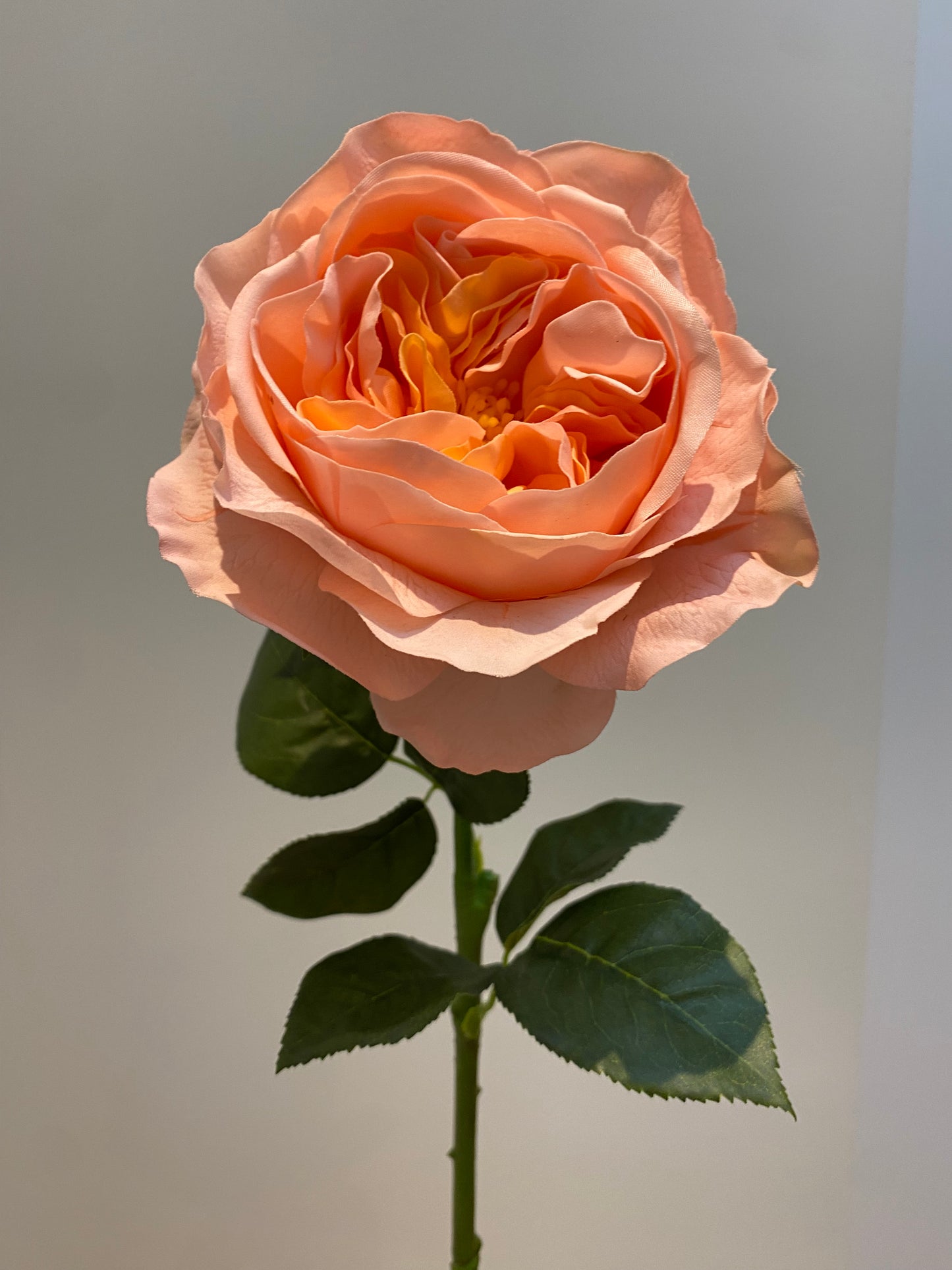 Real Touch Coral Austin Rose Single Stem Artificial Faux Flowers