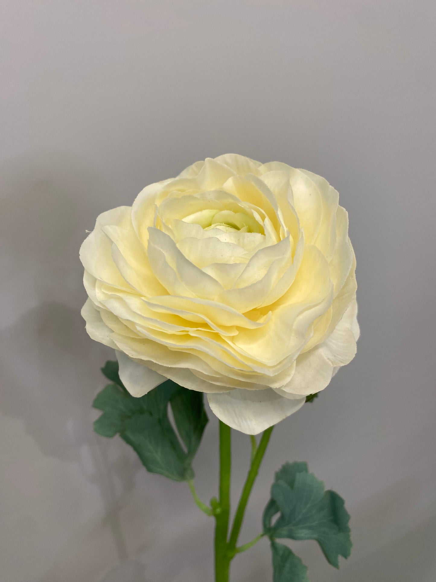 Real Touch White Ranunculus Single Stem Artificial Faux Flowers