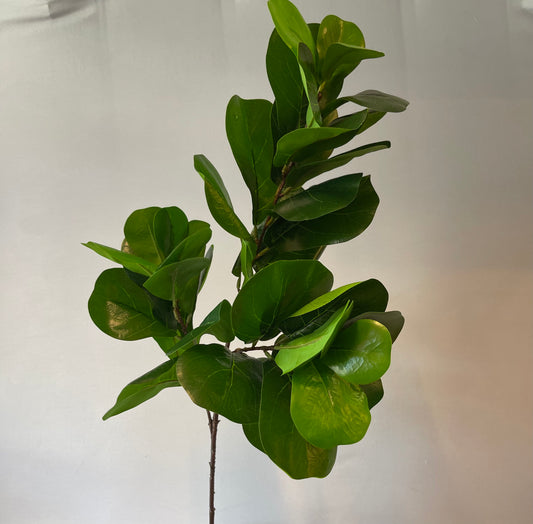 Fiddle Leaf Green Single Stem