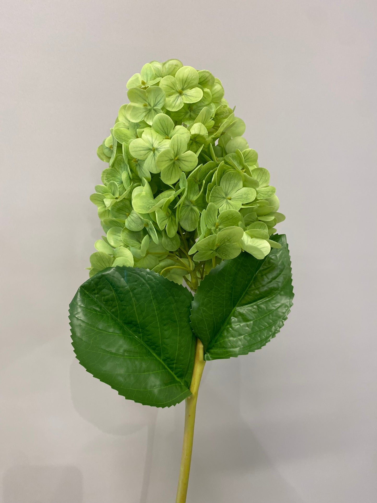 Real Touch Green Hydrangea Paniculata Cone Single Stem Artificial Flowers