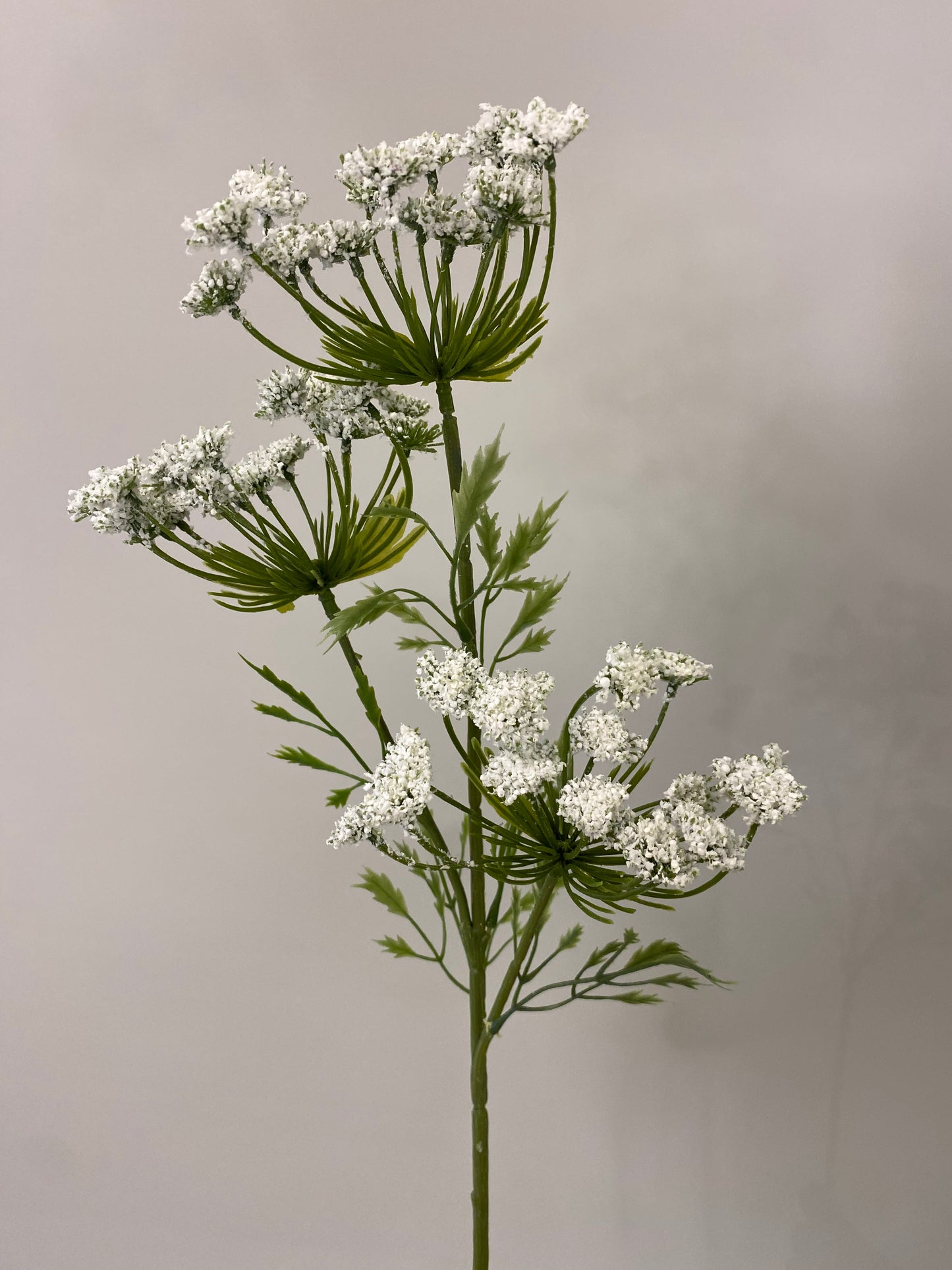 Real Touch Queen Anne's Lace Spray Single Stem Artificial Flowers