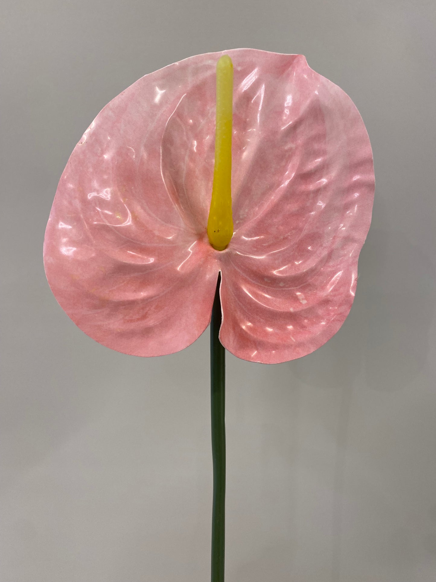 Anthurium Blush Single Stem Artificial Flowers Large