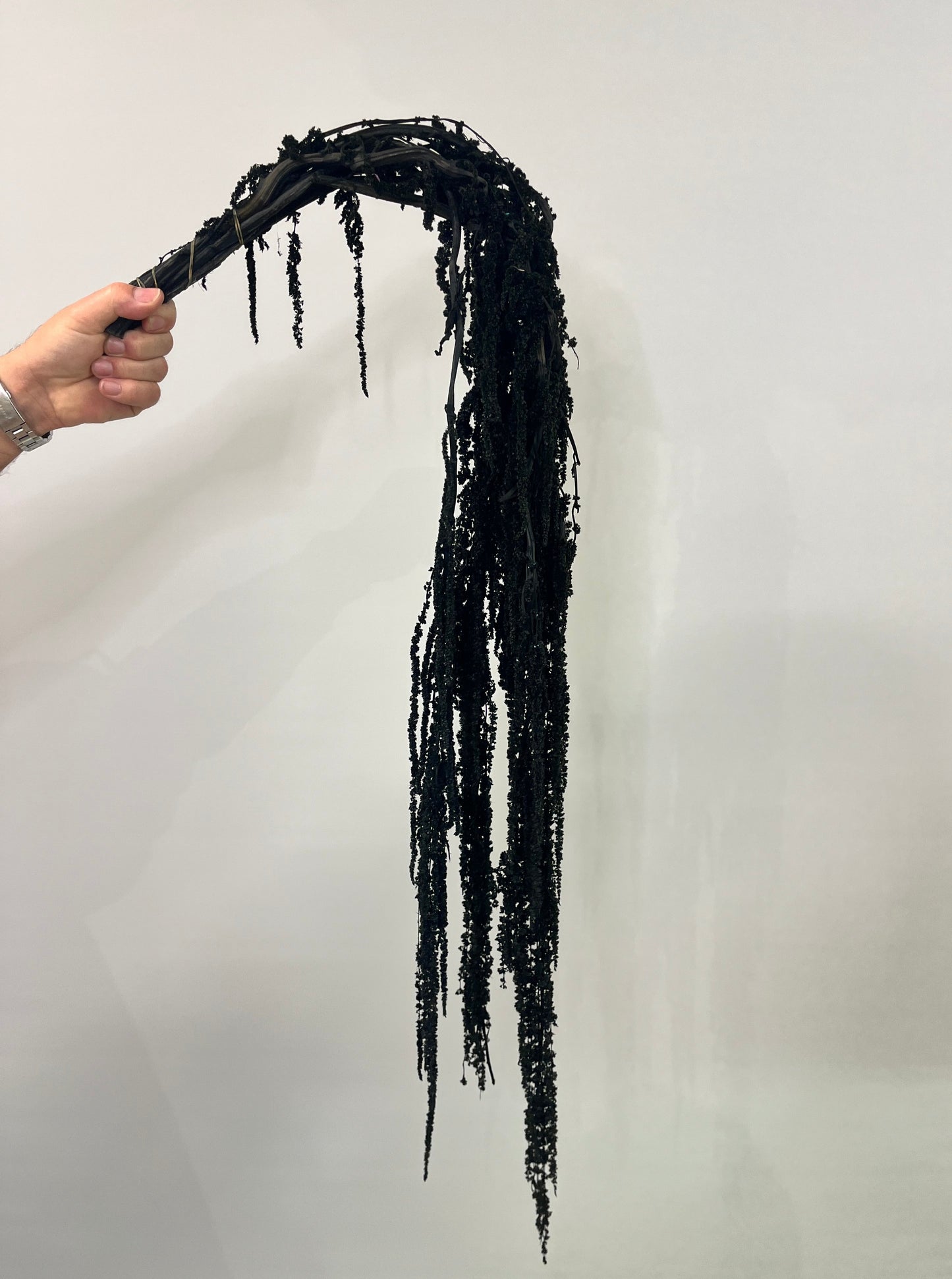 Charcoal Dried Amaranthus