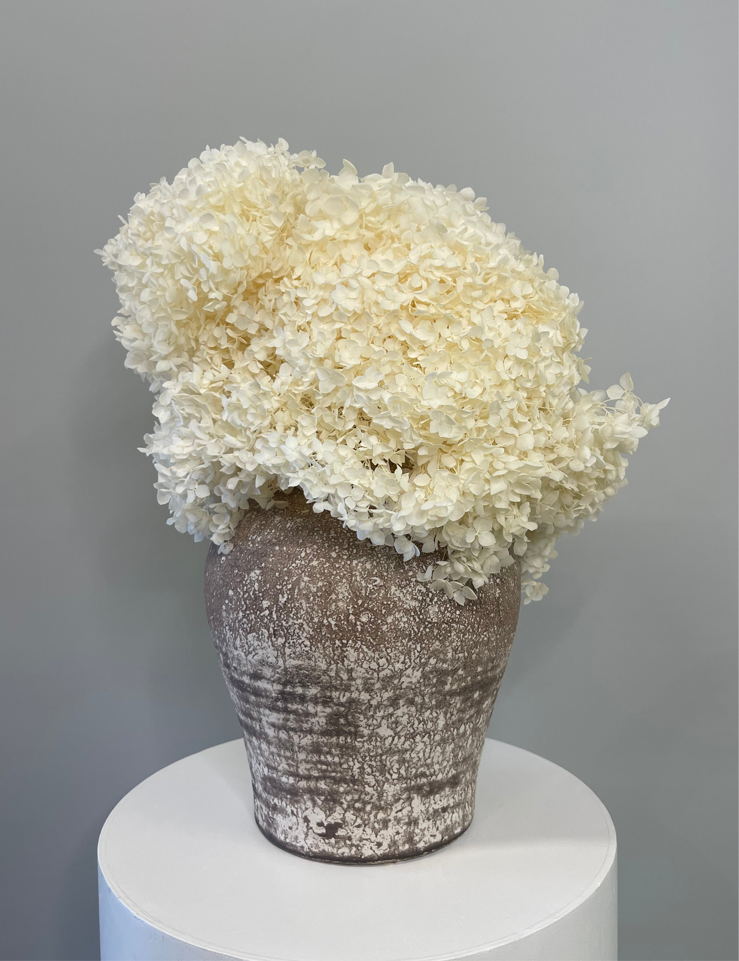 Elisa Dried Flower Arrangement and ceramic vase