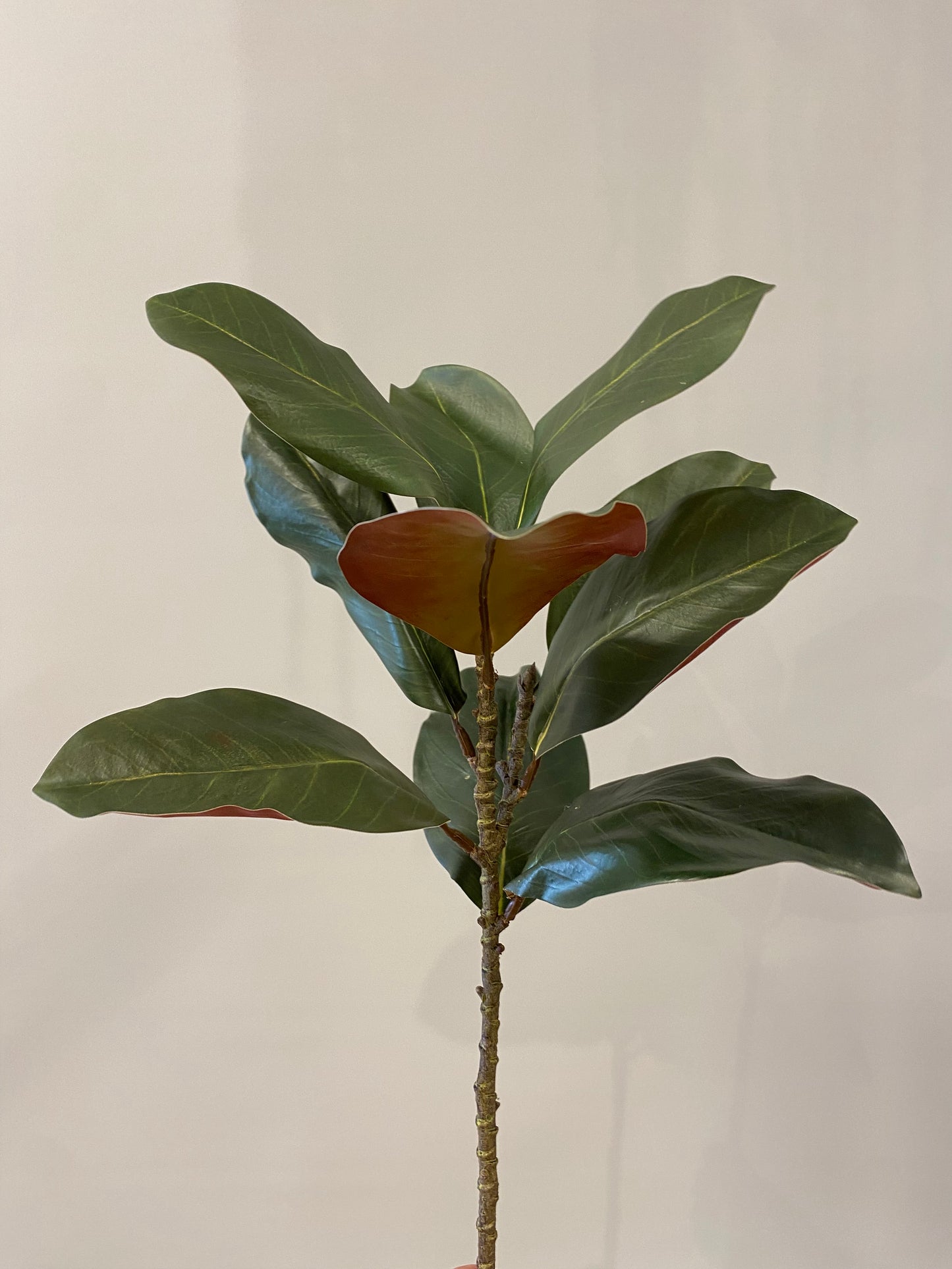 Real Touch Magnolia Green Single Stem Artificial Faux Flowers Large leaf