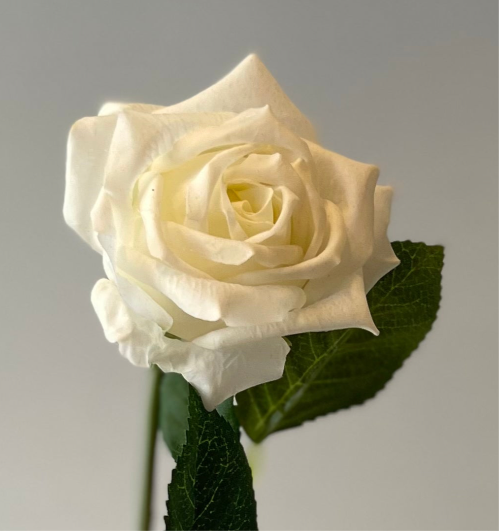 Real Touch White Lola Rose Artificial Faux Flowers