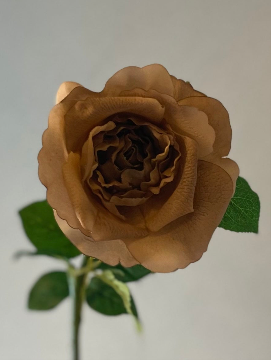 Real Touch Coffee Astrid Rose Single Stem Artificial Flowers Faux Flowers