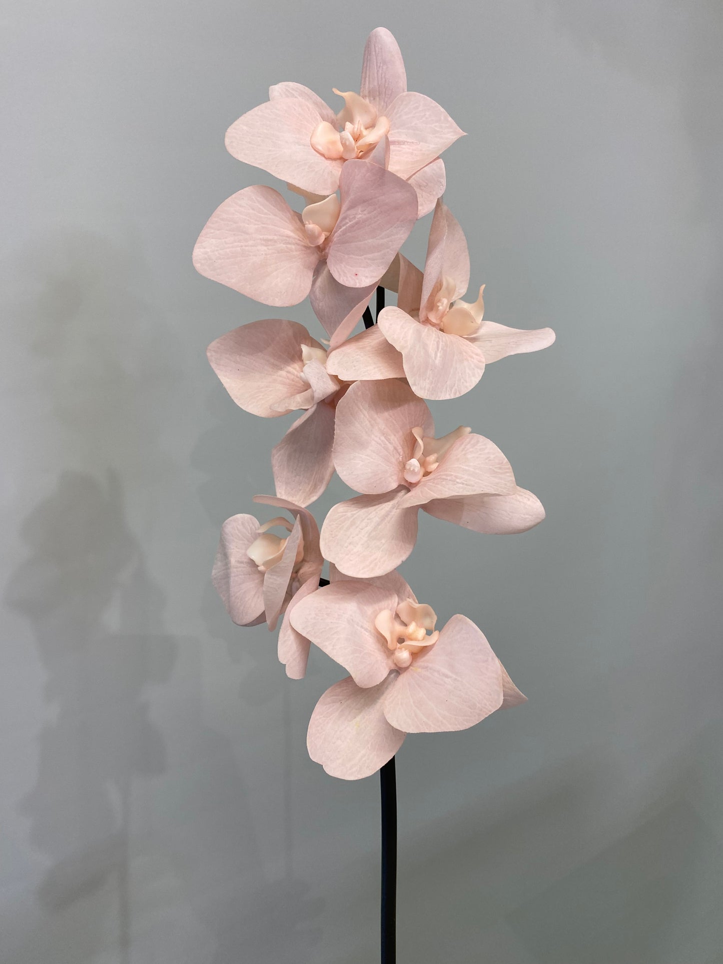 Real Touch Pink Orchid Black Stem Artificial Faux Flowers