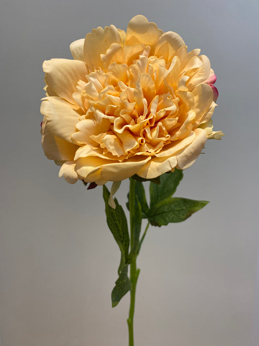 Real Touch Yellow Cabbage Rose Single Stem Artificial Faux Flowers