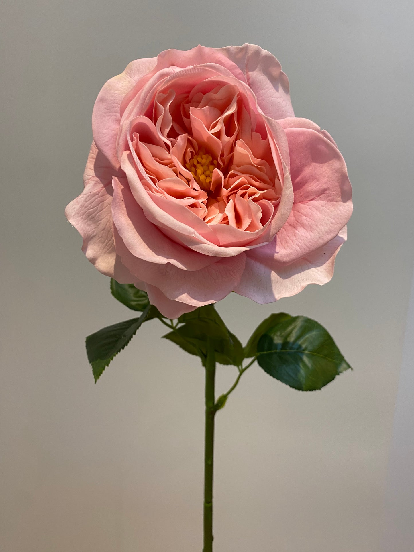 Real Touch Pink Austin Rose Single Stem Artificial Faux Flowers