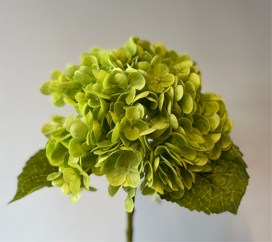 Real Touch Green Hydrangea Single Stem Artificial Flower