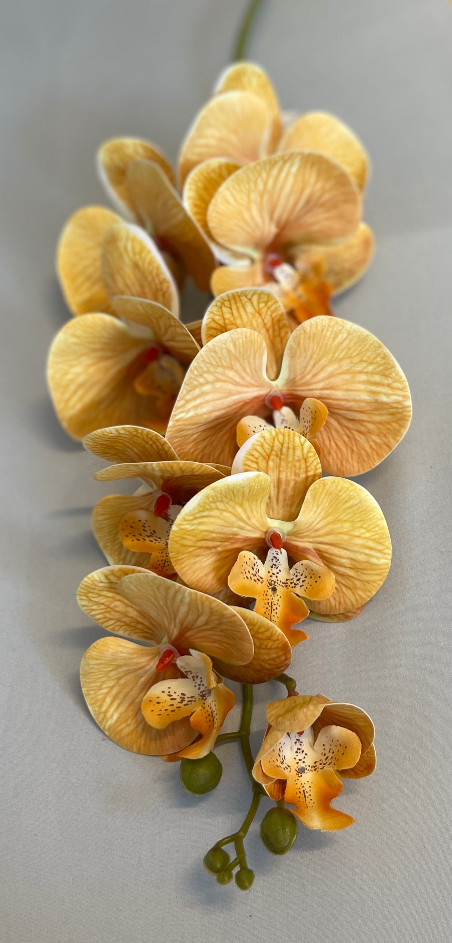 Sunrise Orchid Single Stem Artificial Flowers Faux Flowers