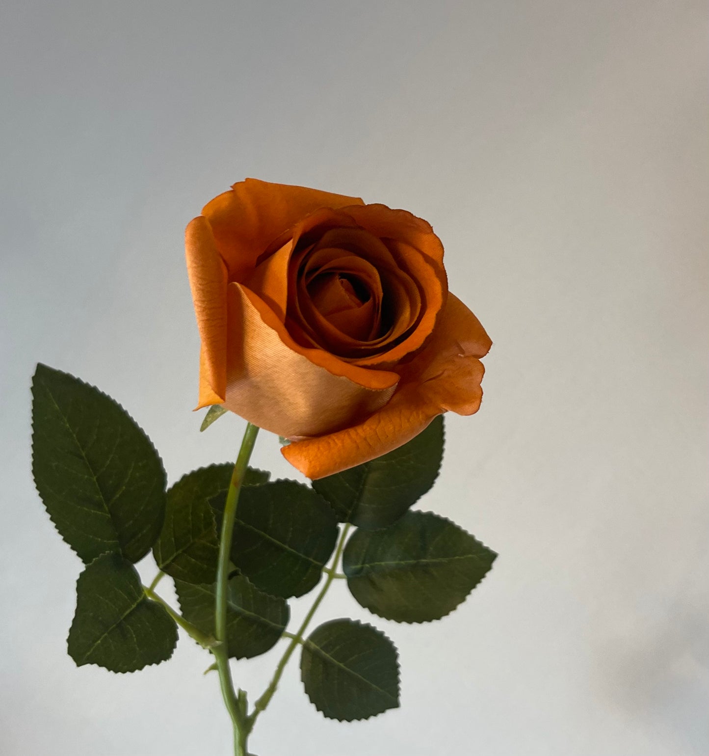Real Touch Rust Yvie Rose Single Stem Artificial Faux Flowers