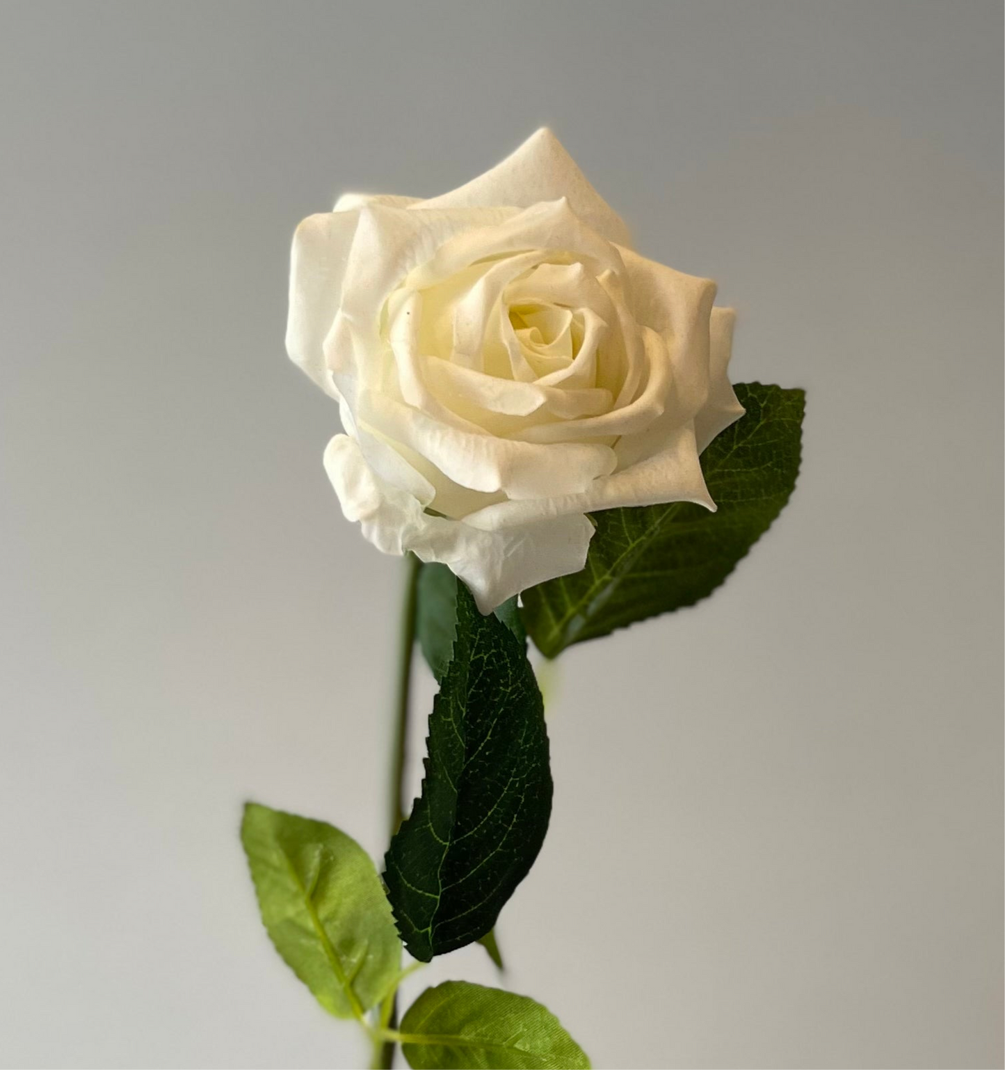Real Touch White Lola Rose Artificial Faux Flowers