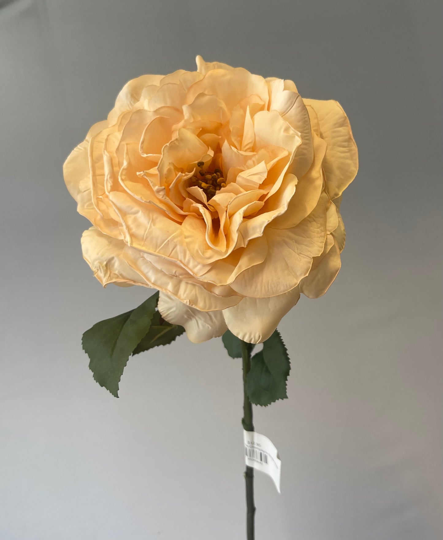 Livia Queen Rose Champagne Single Stem Artificial Flowers Faux Flowers
