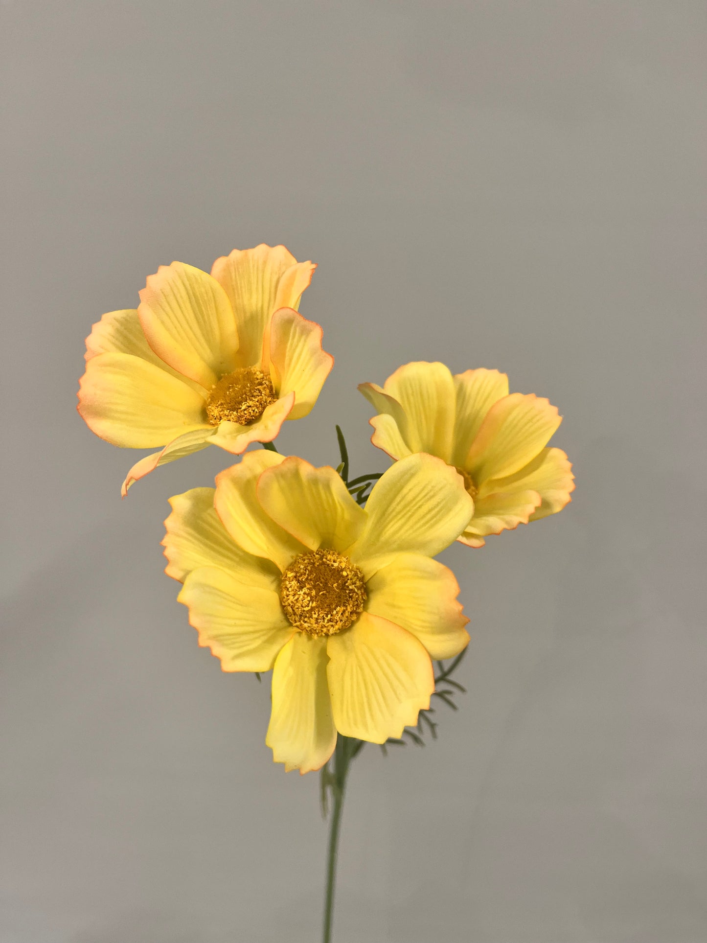 Real Touch Light Yellow Cosmos Artificial Flowers Faux Flowers
