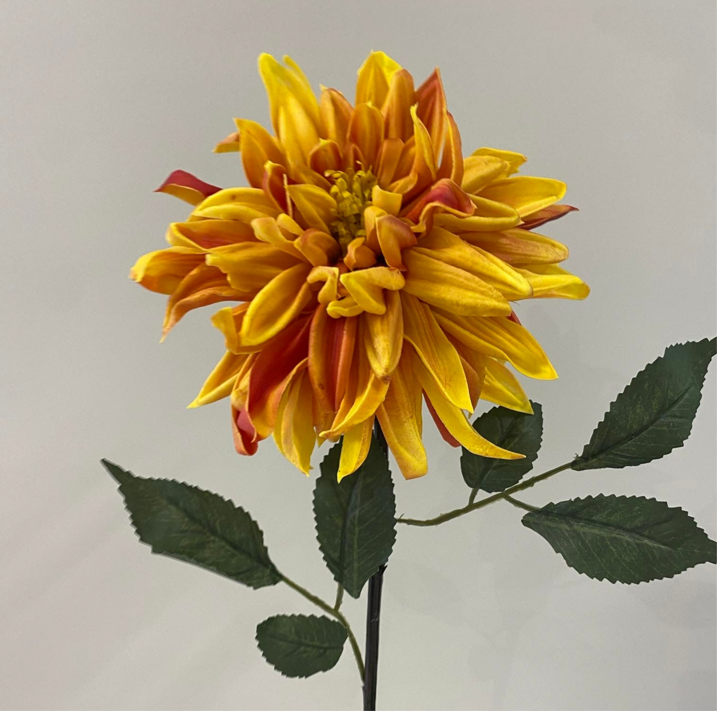 Real Touch Orange Burnt Dahlia Artificial Faux Flowers