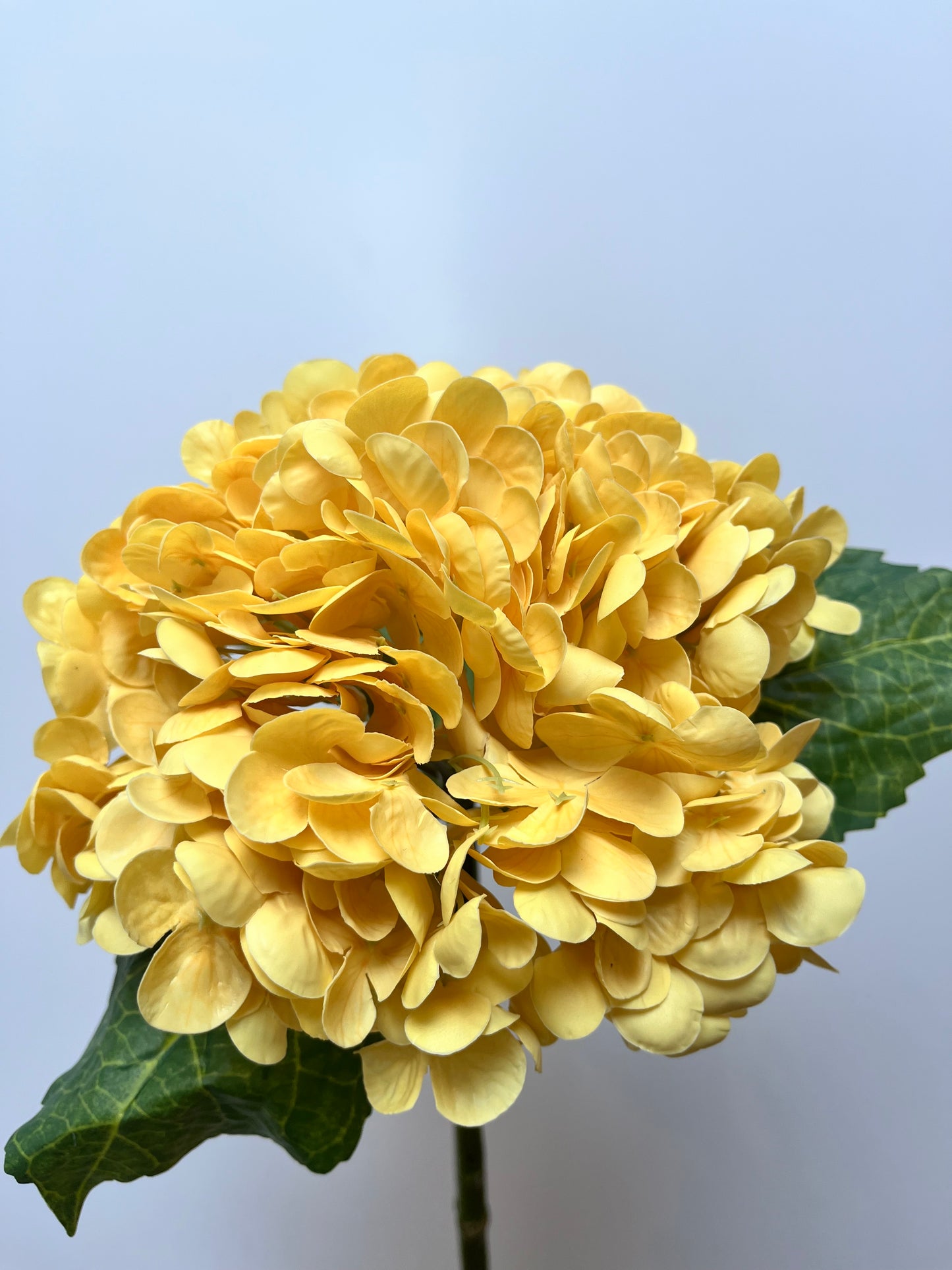 Real Touch Yellow Hydrangea Single Stem Artificial Faux Flowers