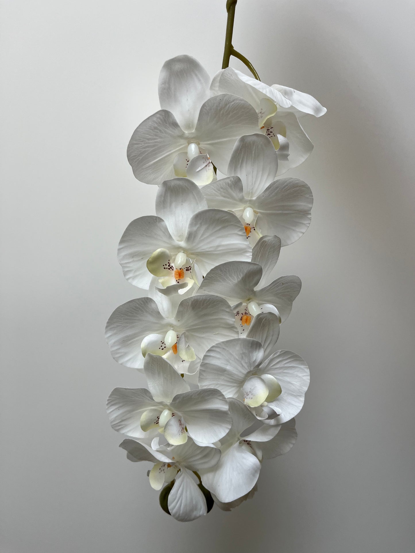 Real Touch White Orchid Single Stem Artificial flowers Faux Flowers