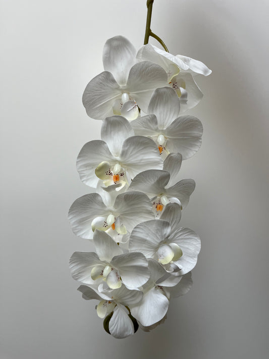 Real Touch White Orchid Single Stem Artificial flowers Faux Flowers