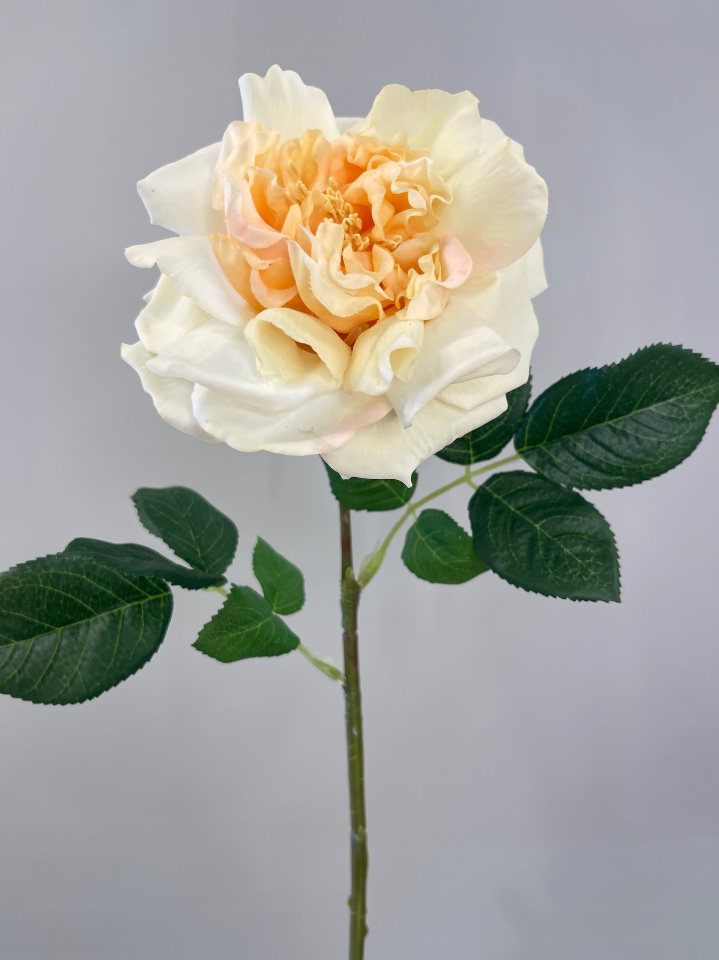 Real Touch Yellow Austin Rose Artificial Faux Flowers