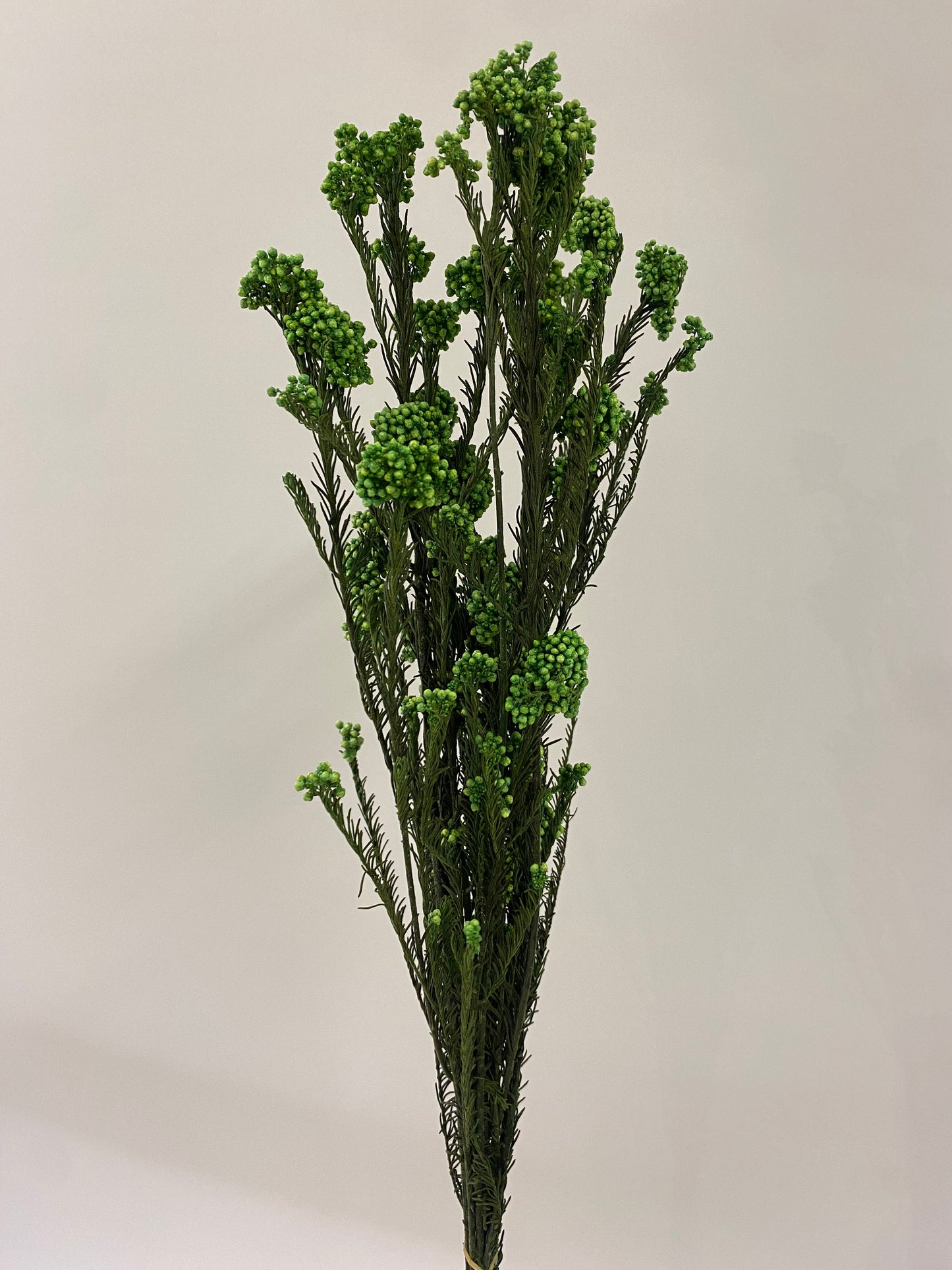 Green Dried Rice Flower Bunch
