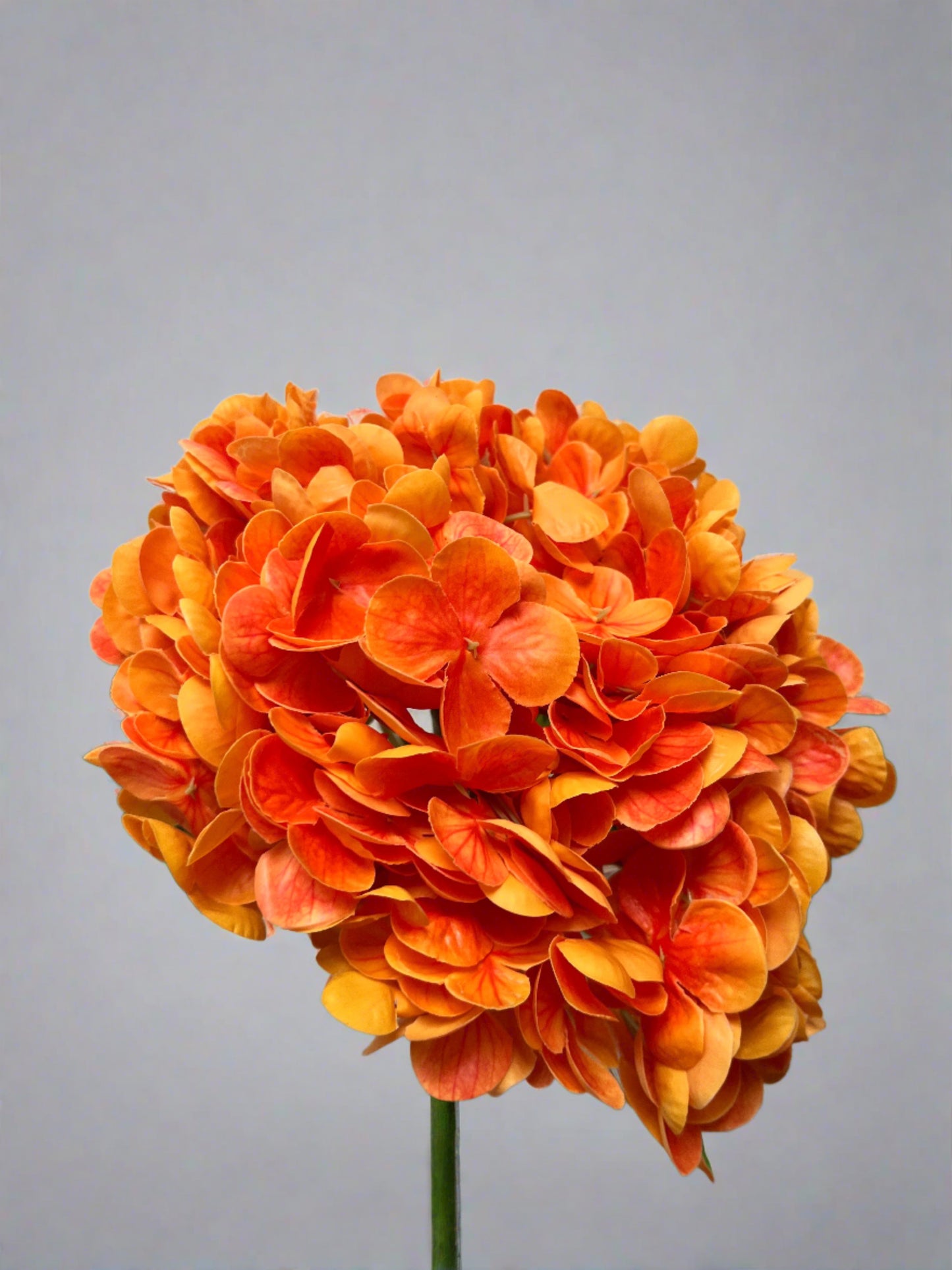 Sydney Flowers - Arrangements - Flower Delivery Sydney - Fake Flowers