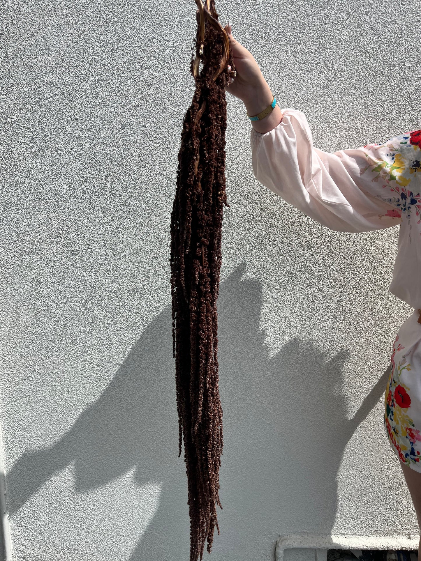 Light Brown Dried Amaranthus