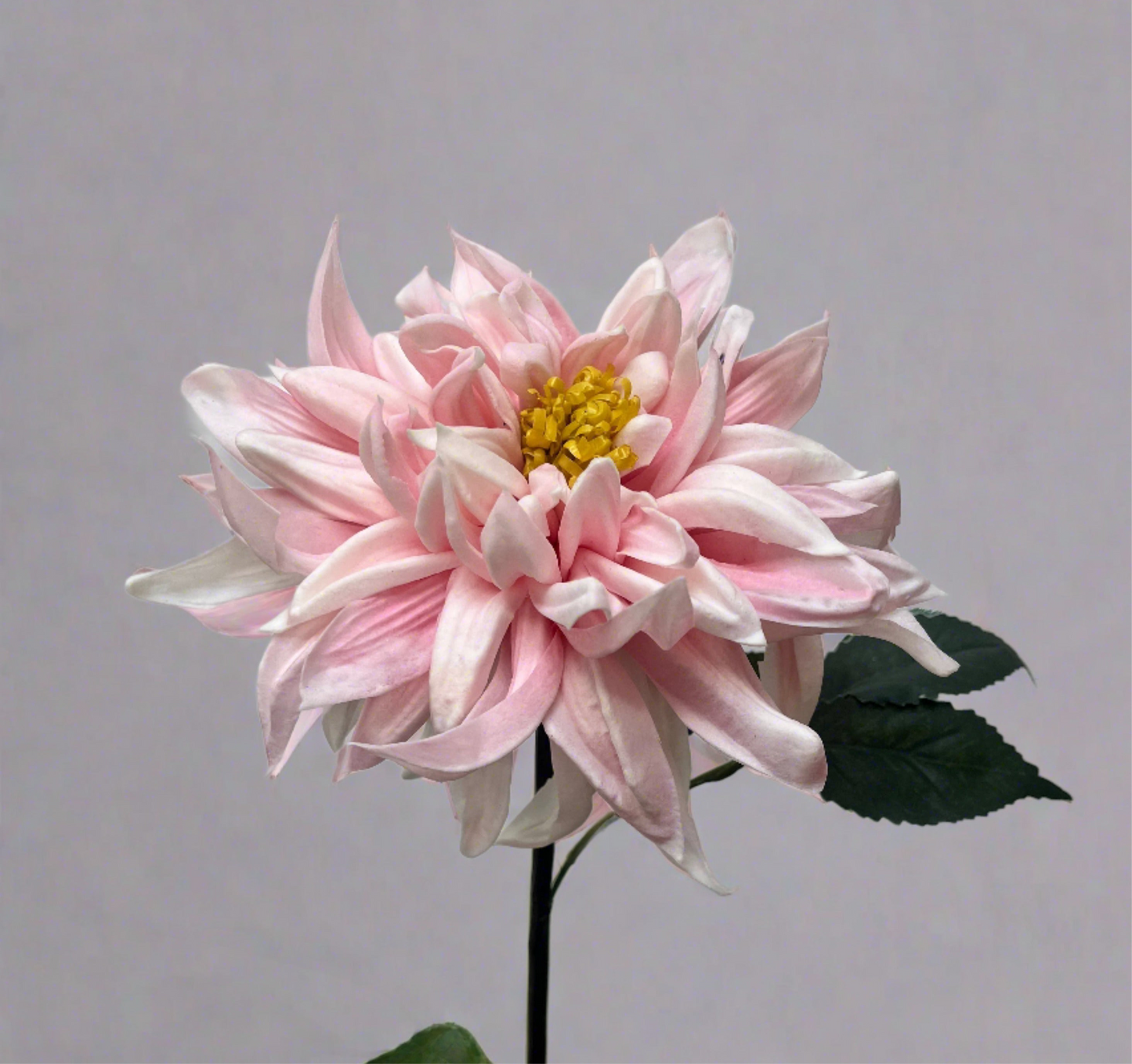Real Touch Bright Pink Dahlia Single Stem Artificial Faux Flowers