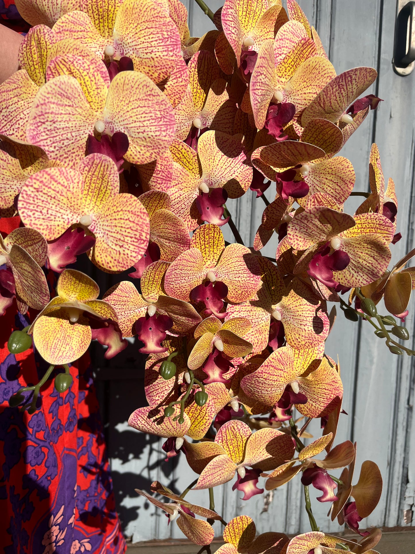 Burgundy Orange Orchid Single Stem