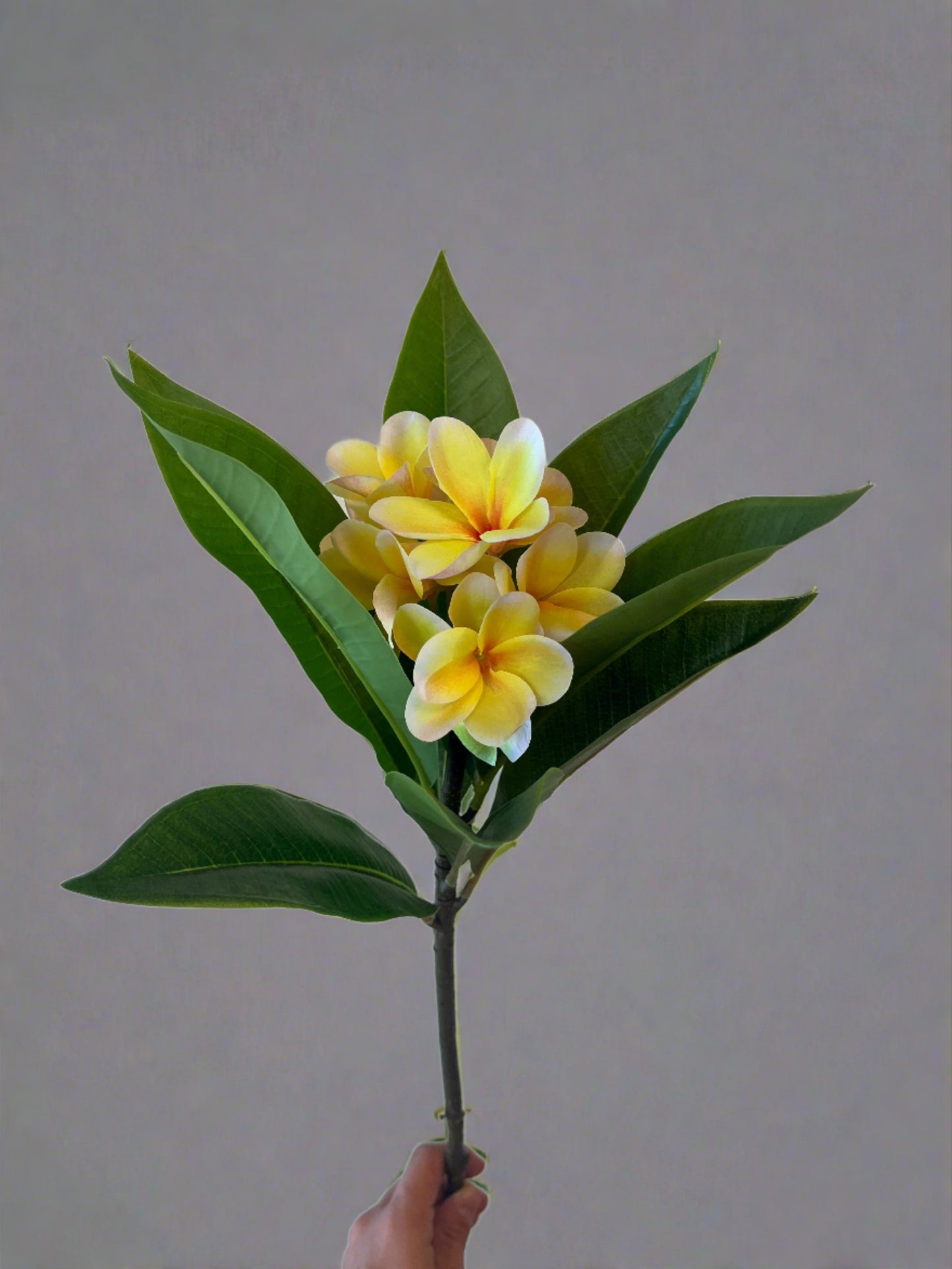 Frangipani Artificial Flowers Spray Single Stem