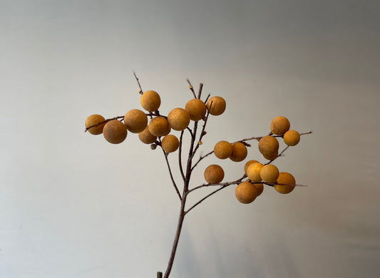 Natural Longan Spray Single Stem Artificial Flowers Faux Flowers