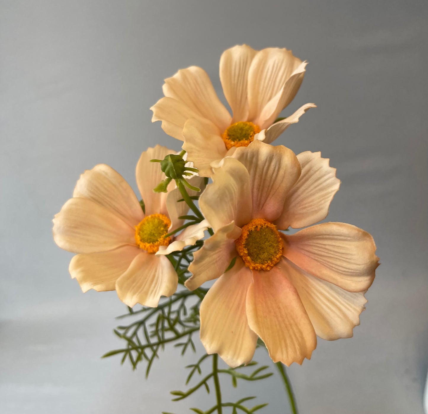 Real Touch Apricot Cream Cosmos Spray Artificial Flowers Faux Flowers