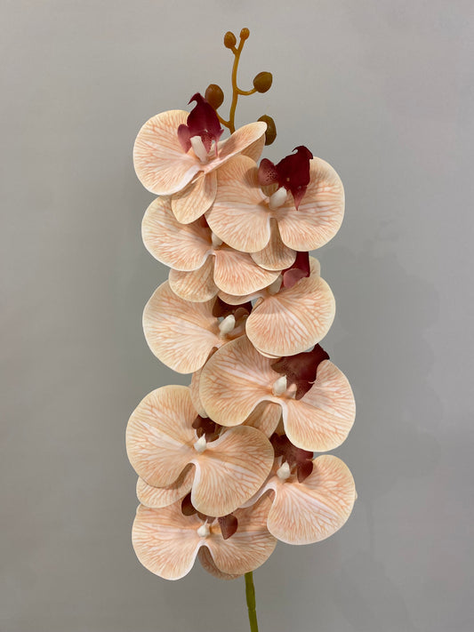 Coffee Orchid Artificial Flower Single Stem