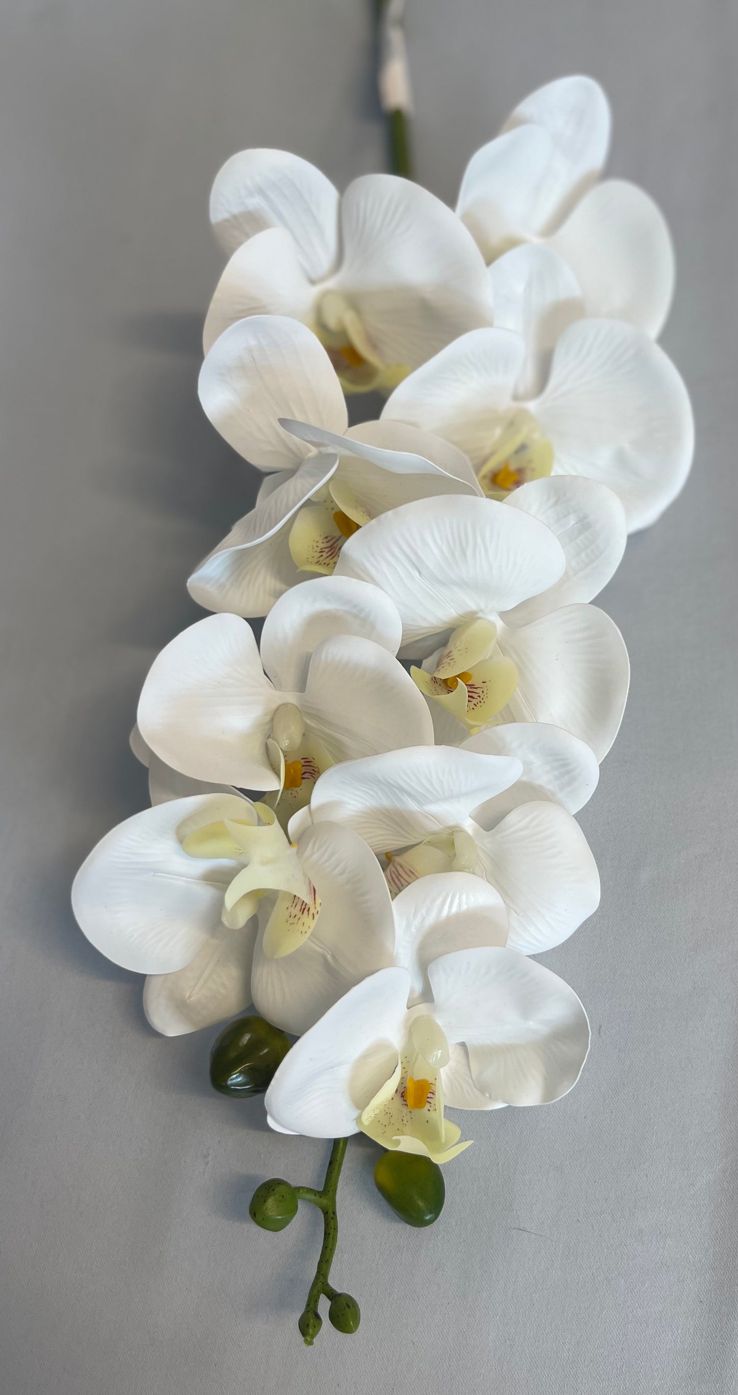 Real Touch White Orchid Single Stem Artificial Faux Flowers
