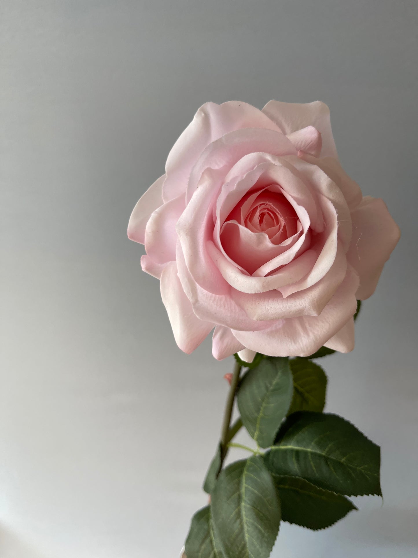 Real Touch Light Pink Hannah Rose Artificial Flowers Faux Flowers