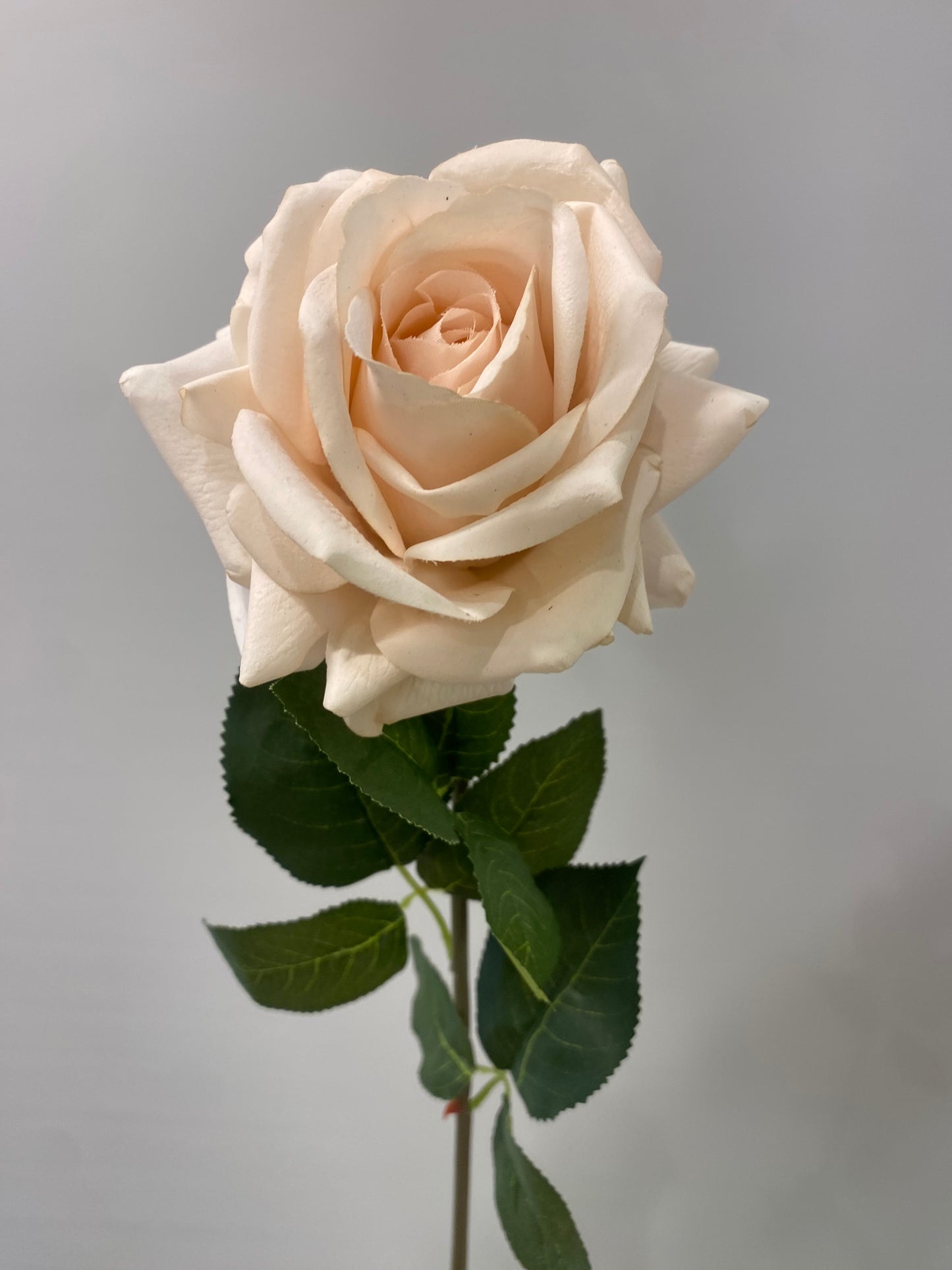 Real Touch Soft Pink Hannah Rose Single Stem Artificial Flowers