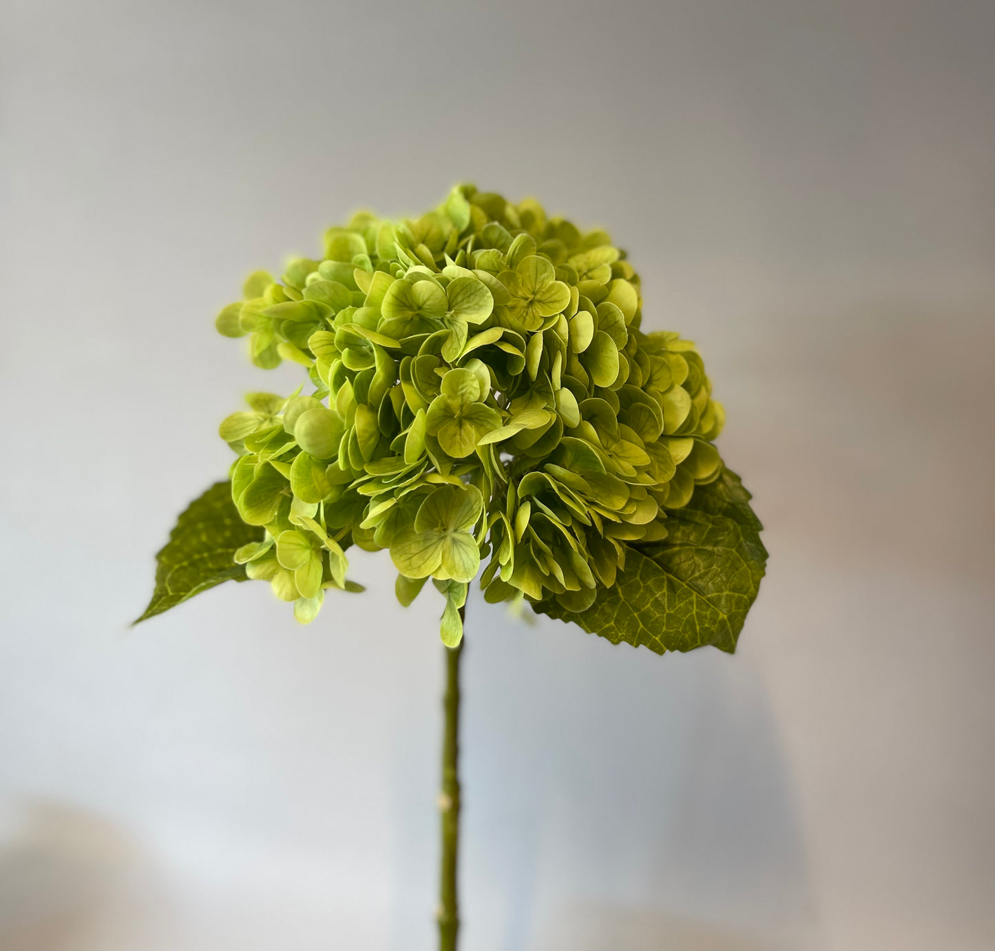Real Touch Green Hydrangea Single Stem Artificial Flower