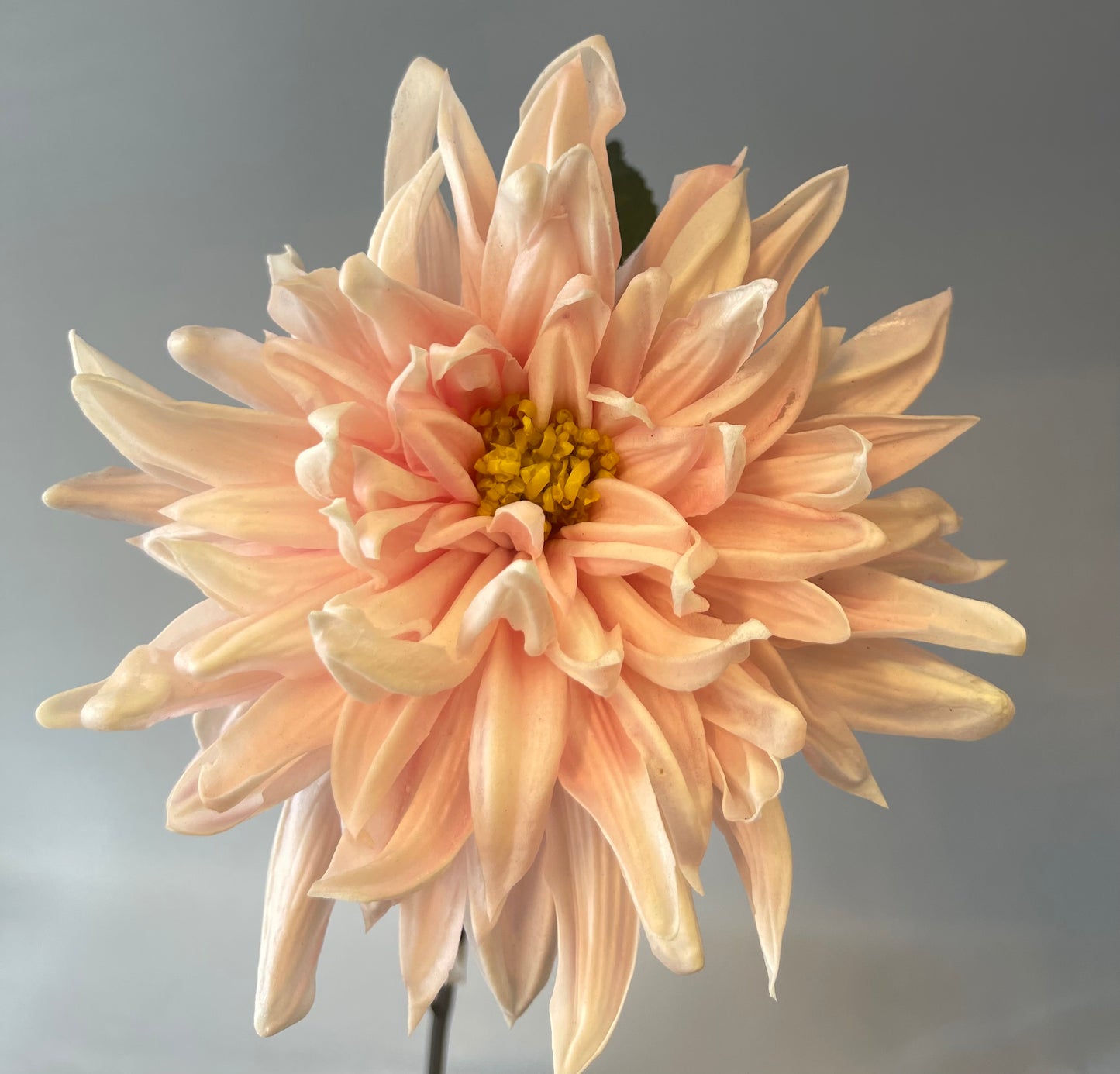 Real Touch Pink Dahlia Single Stem Artificial Faux Flowers