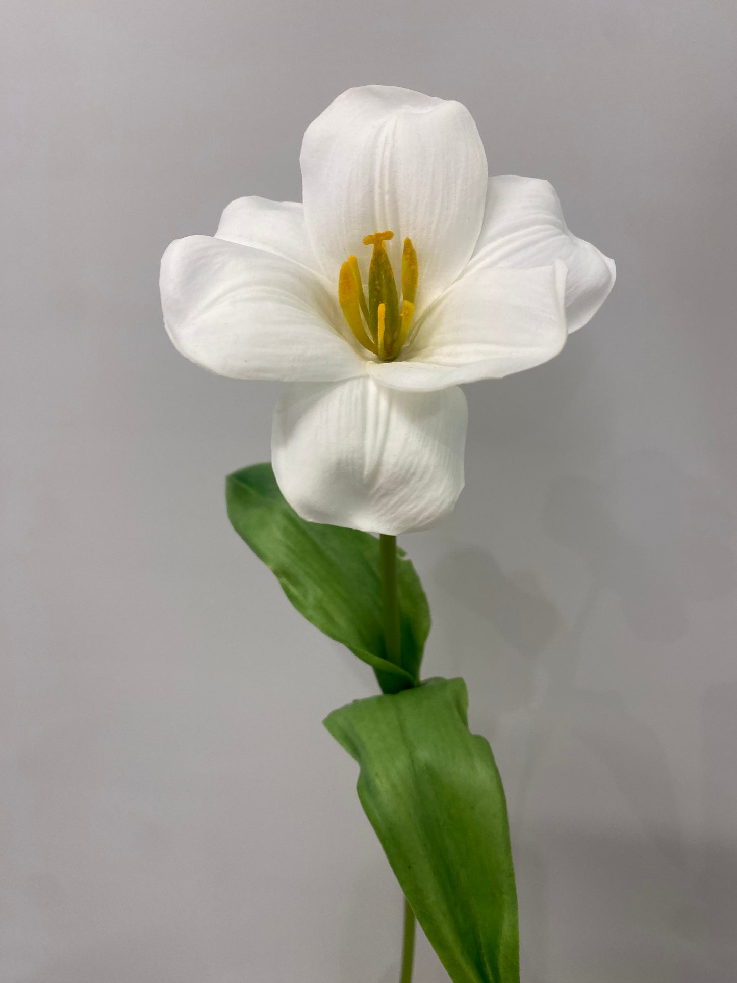 Real Touch White Open Tulip Single Stem Artificial Faux Flowers