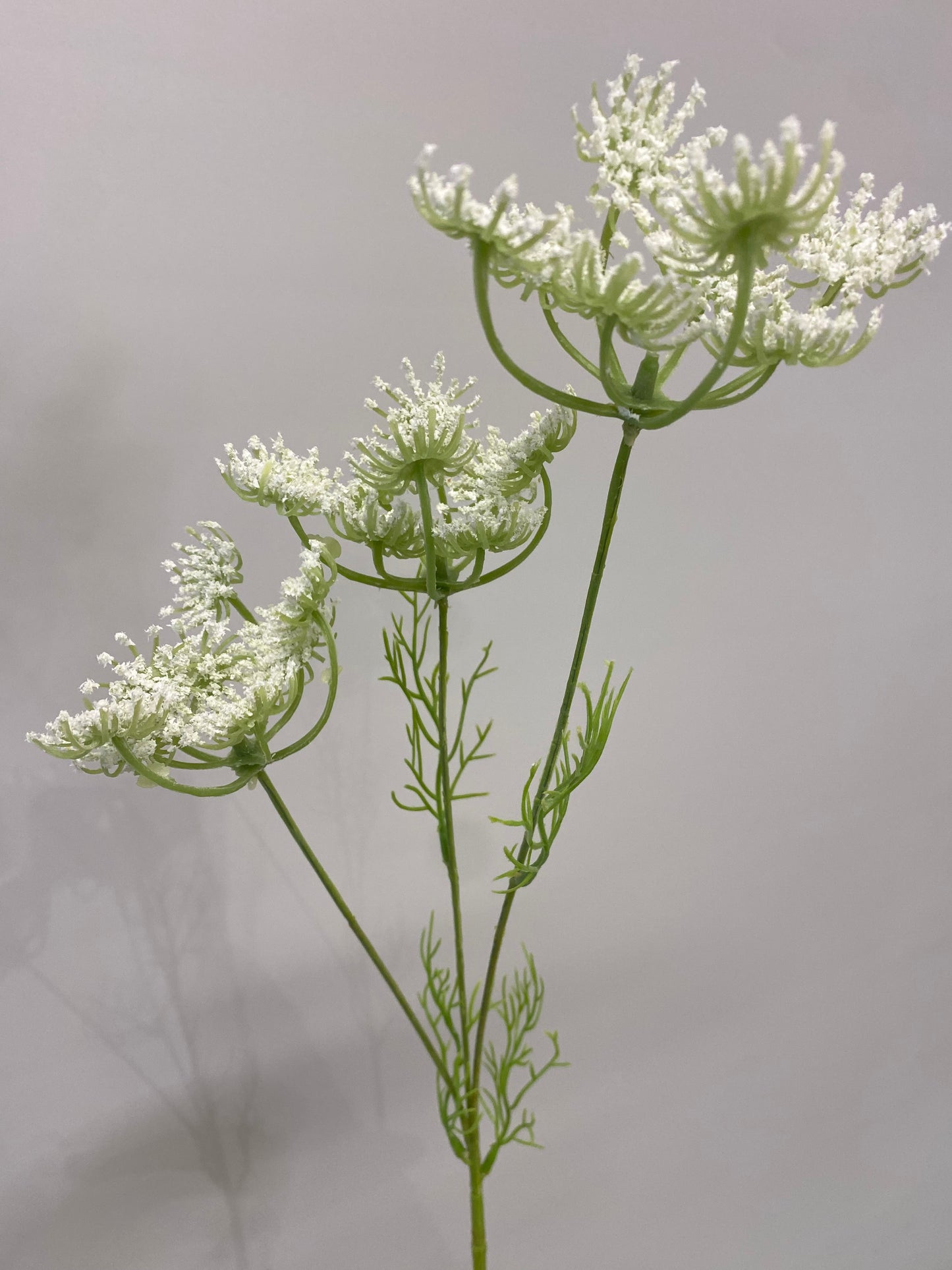Real Touch Queen Anne's Lace Spray Light Green Single Stem Artificial Flowers