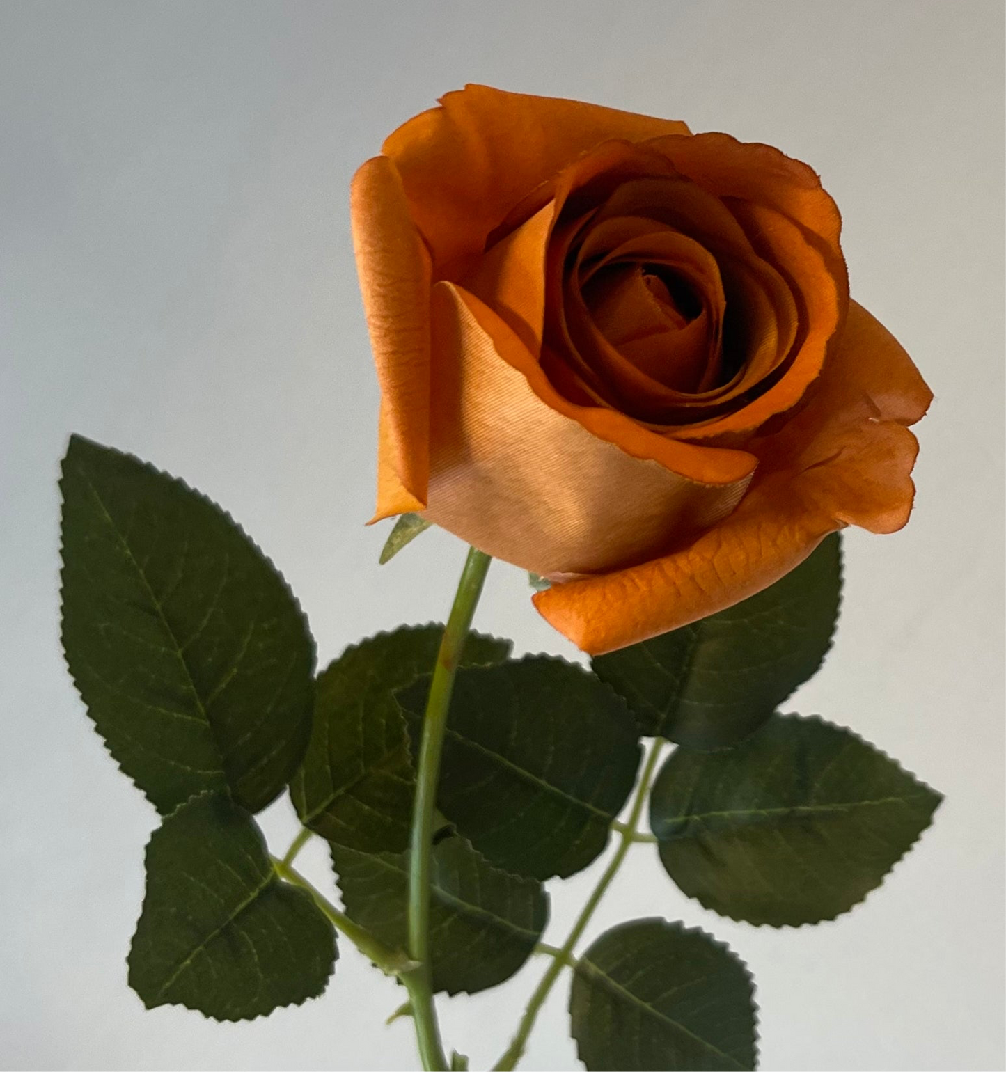 Real Touch Rust Yvie Rose Single Stem Artificial Faux Flowers