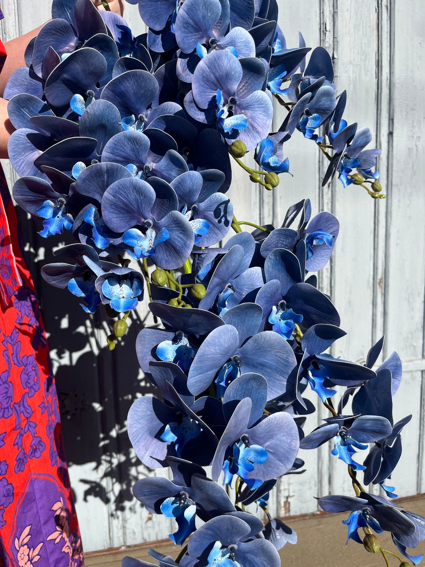 Deep Blue Orchid Single Stem