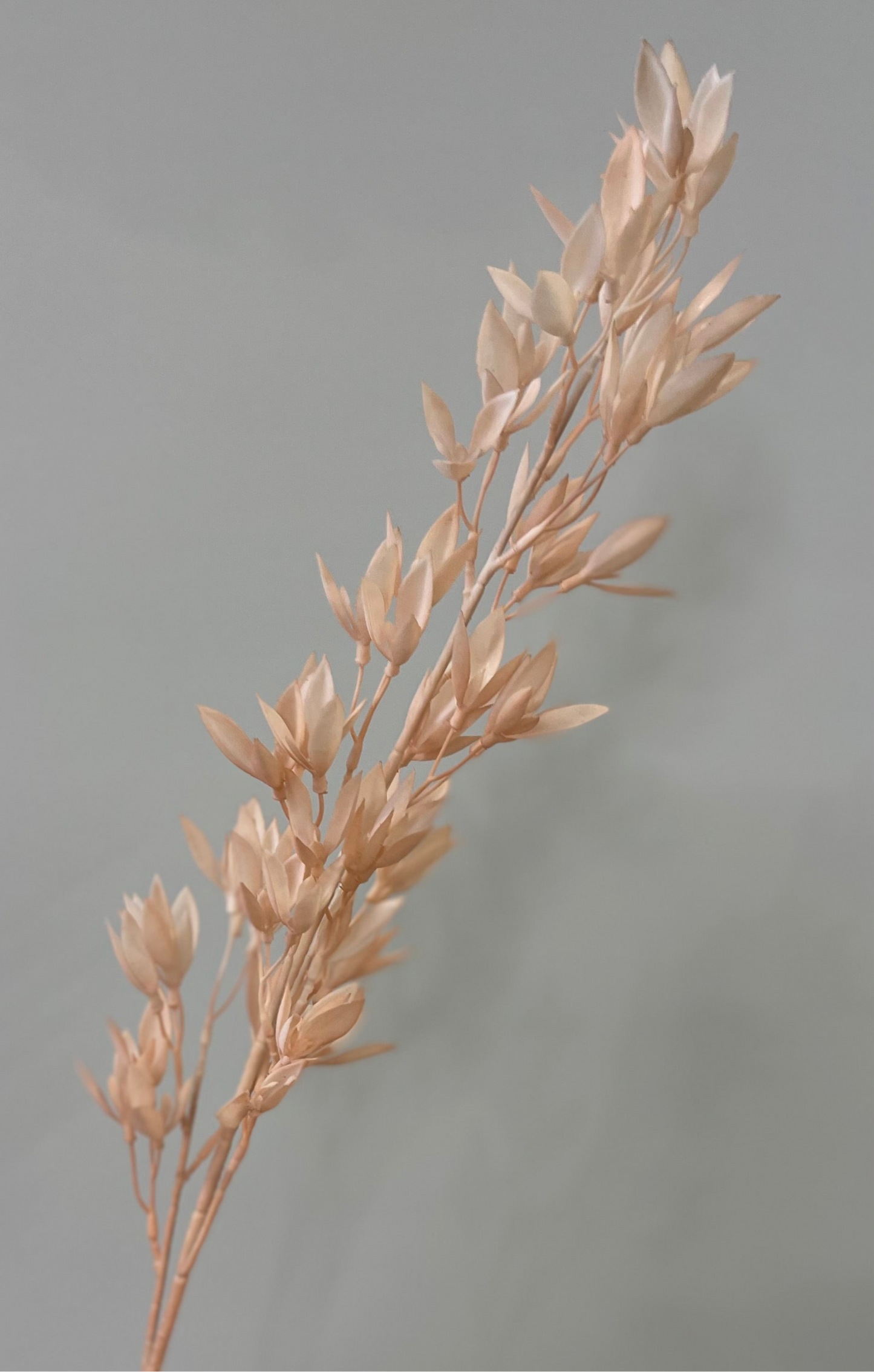 Michelia Light Pink Spray Single Stem Artificial Flowers Faux Flowers