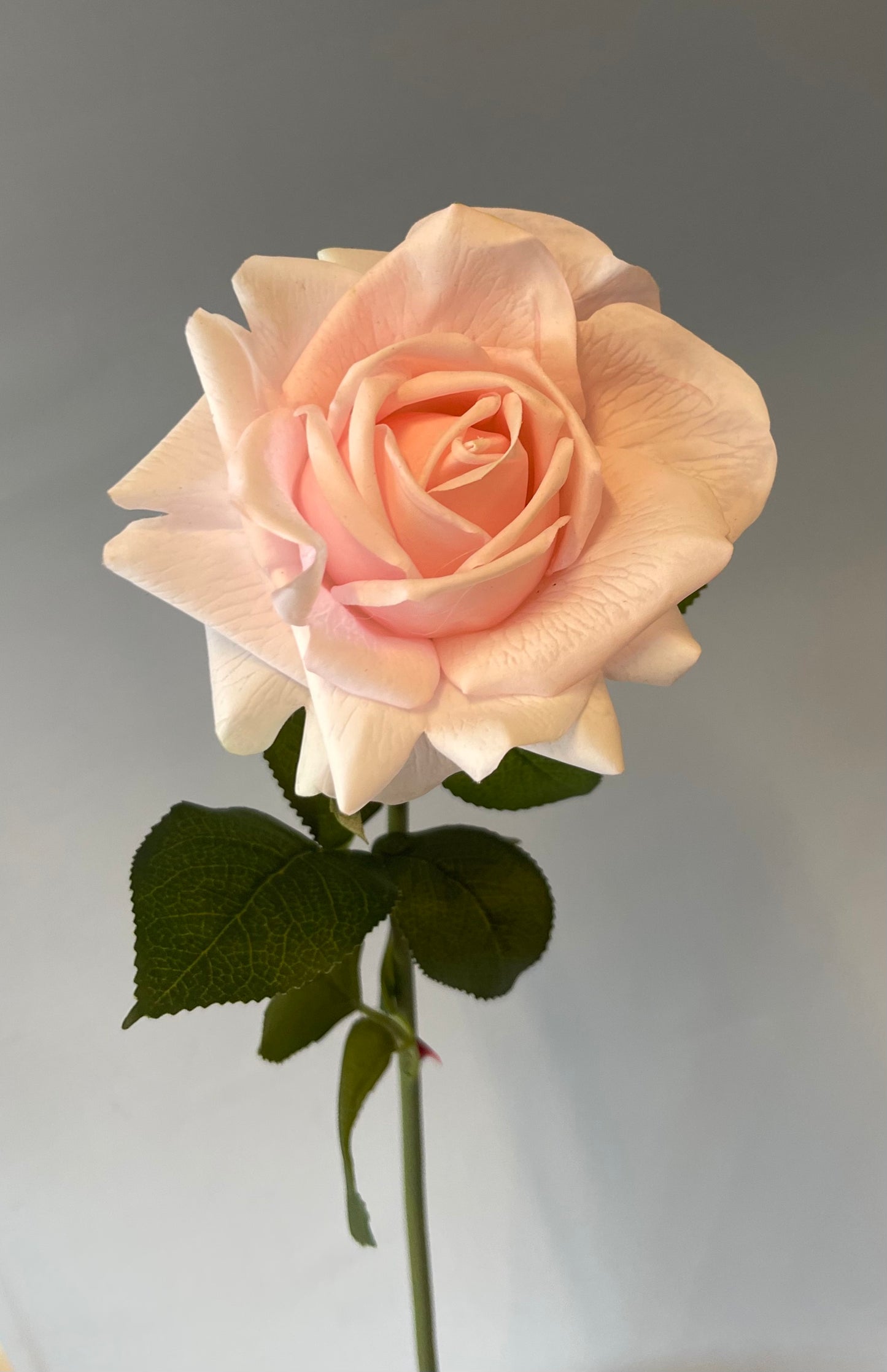Real Touch Pink Tiarna Rose Single Stem Artificial Faux Flowers
