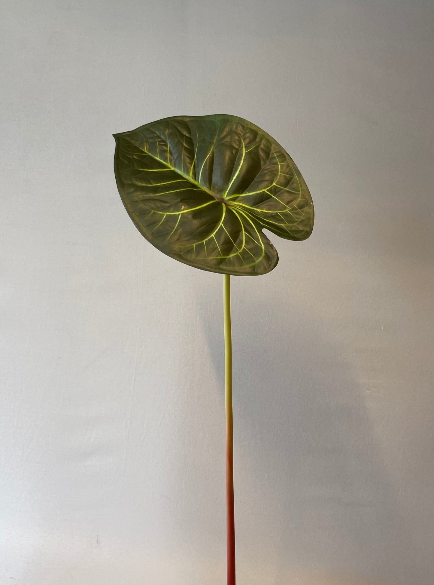 Anthurium Clarinerium Green Leaf Single Stem Artificial Flowers,