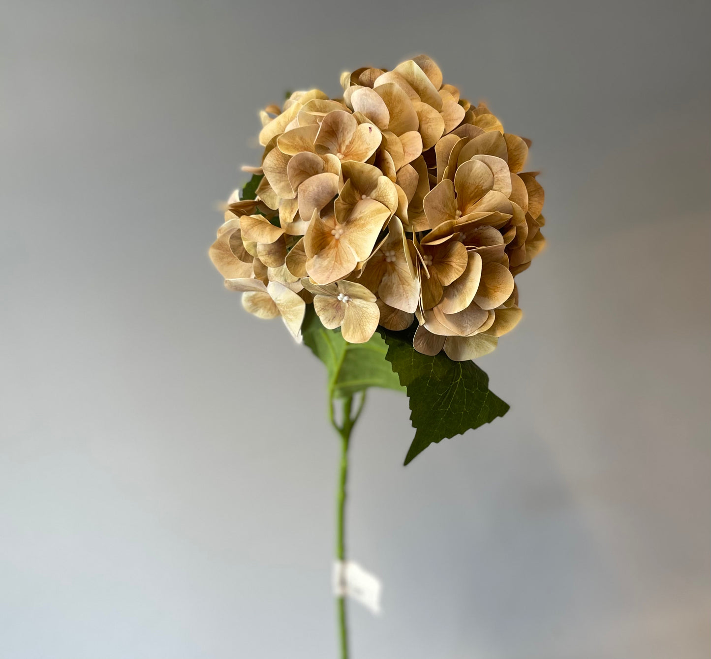 Coffee Latex Hydrangea Artificial Flower Single Stem