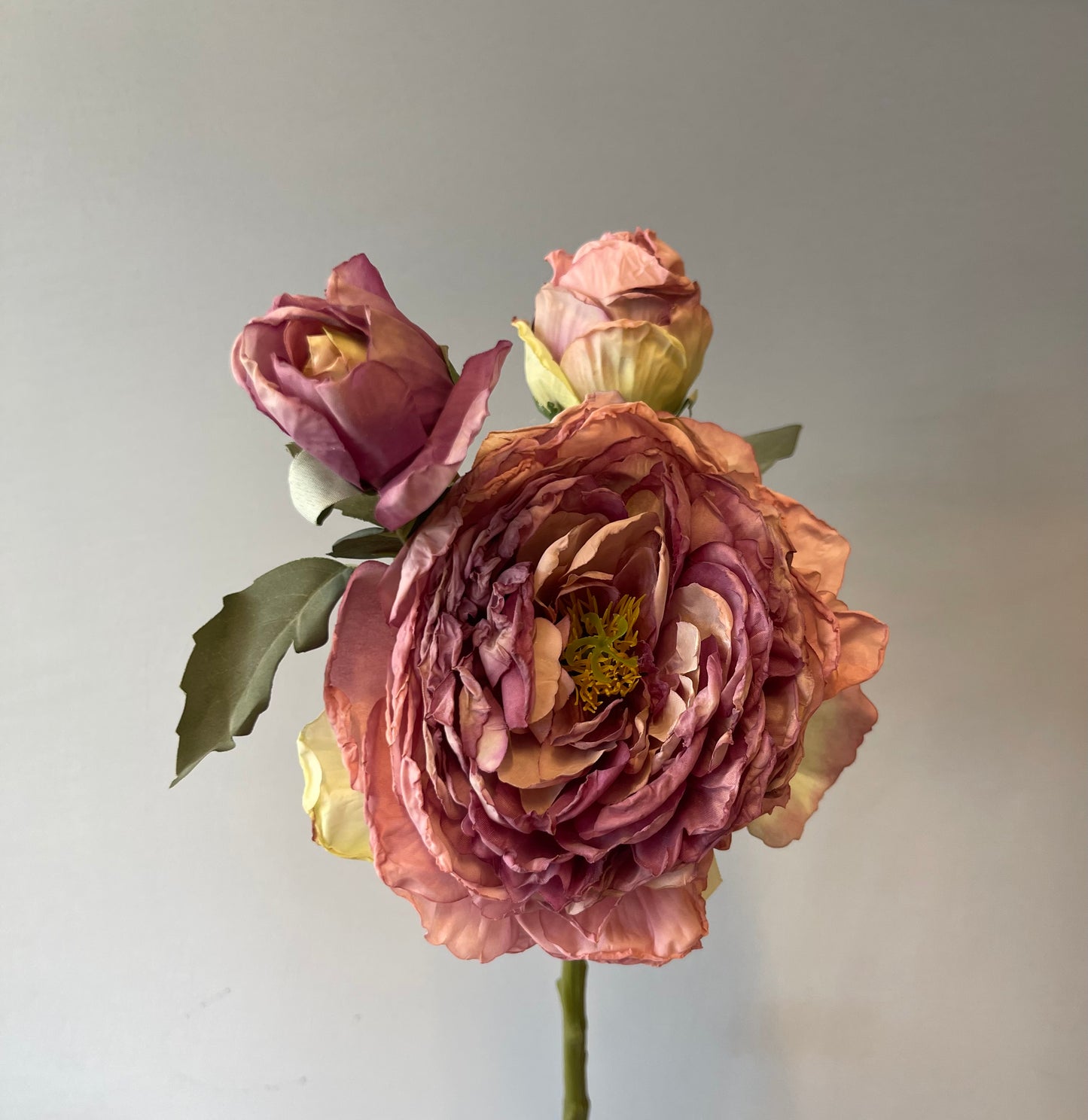 Purple Burnt Peony Spray Single Stem