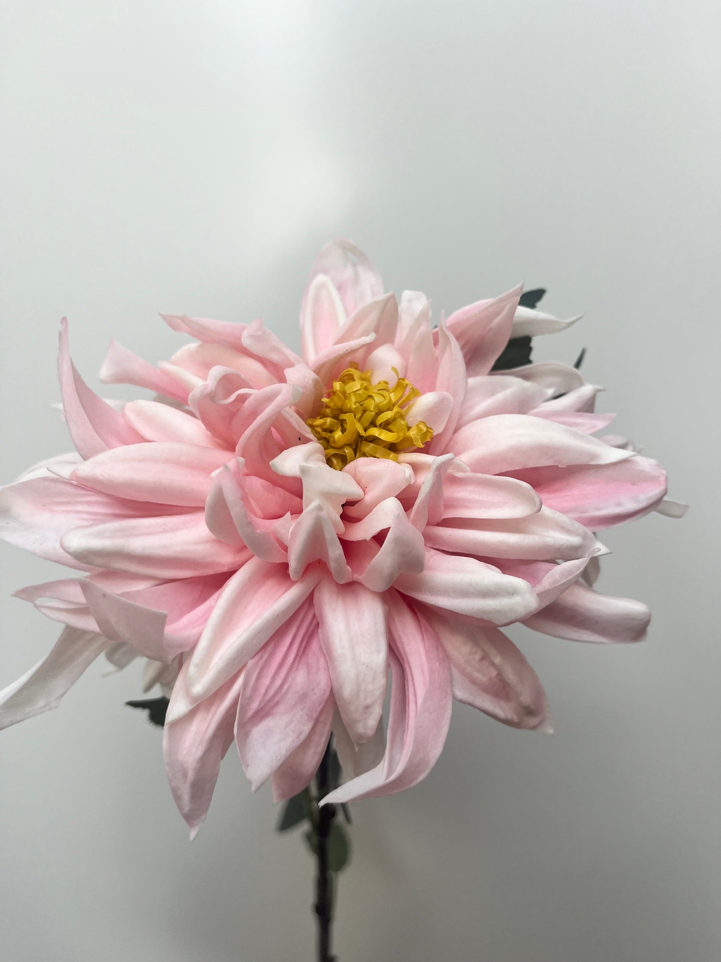 Real Touch Bright Pink Dahlia Single Stem Artificial Faux Flowers