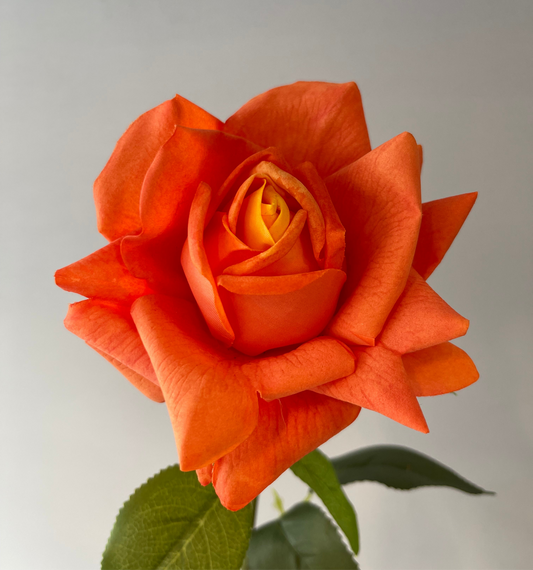 Real Touch Orange Tiarna Rose Single Stem Artificial Flowers Faux Flowers